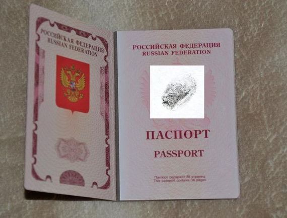 прописка в Пущино